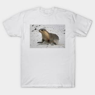 Seal pup running on the beach on Kangaroo Island in South Australia T-Shirt